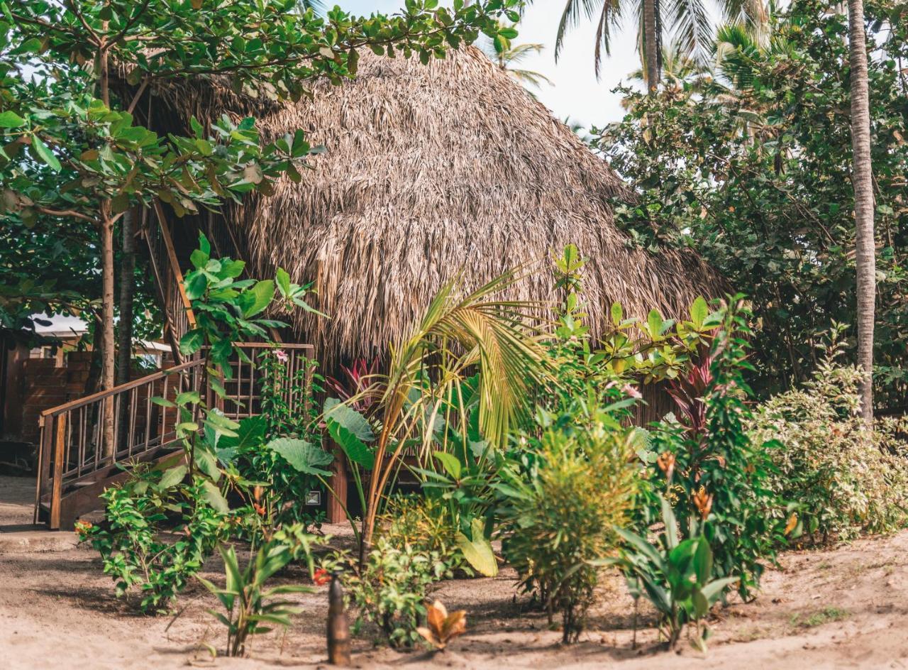 Los Hermanos Beach Hostal Guachaca Exterior foto